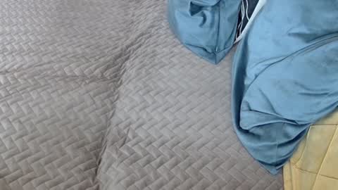 Snapshot of georgiapeachgirl chatting on February 17, 11:29 am Melissa online show from February 17, 11:29 am