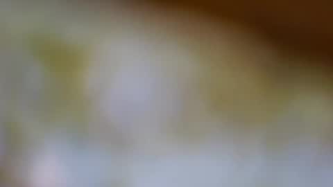 germanandy71 online show from November 20, 8:14 am