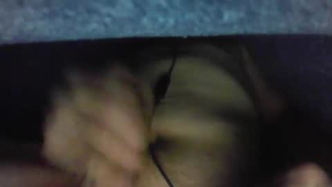 gezuz42069 online show from March 31, 9:53 am