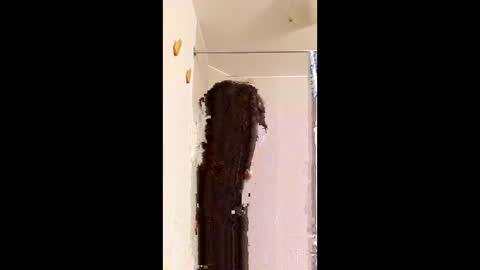 Snapshot of ggggu495826 chatting on February 10, 2:32 pm ggggu495826 online show from February 10, 2:32 pm