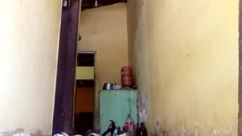 Gaby online show from October 11, 2:15 pm