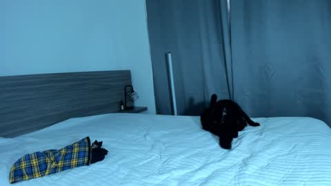 giannasue online show from January 11, 6:01 pm