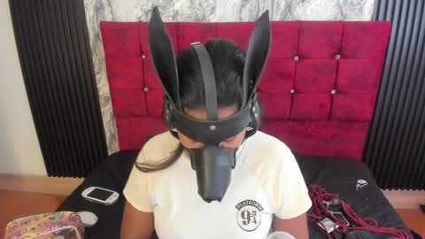 Snapshot of gisellholden_ chatting on May 20, 1:17 pm gisellholden_ online show from May 20, 1:17 pm