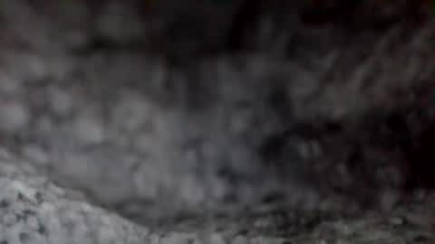 e-Bizl online show from December 7, 11:51 am