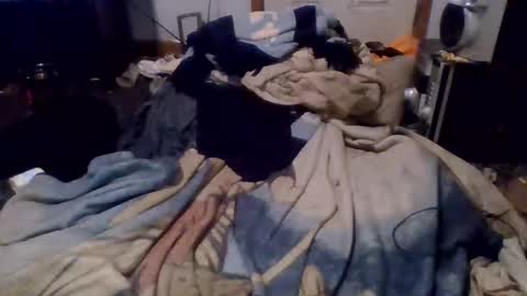 e-Bizl online show from December 16, 4:55 am