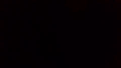 e-Bizl online show from February 11, 8:05 am