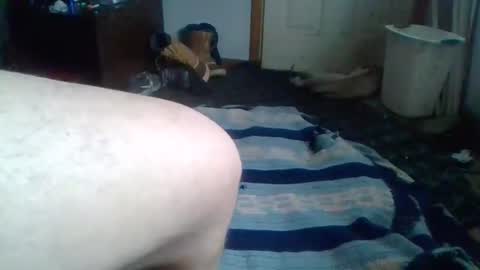 e-Bizl online show from February 12, 7:13 pm