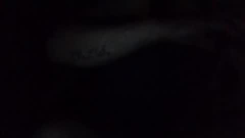 e-Bizl online show from February 17, 3:15 am