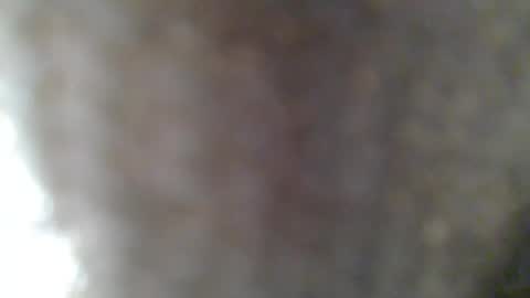 e-Bizl online show from February 25, 7:31 am