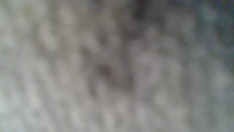 e-Bizl online show from February 25, 10:37 am