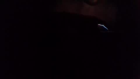 e-Bizl online show from March 7, 6:57 am