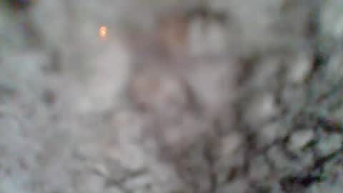 e-Bizl online show from March 7, 1:18 pm