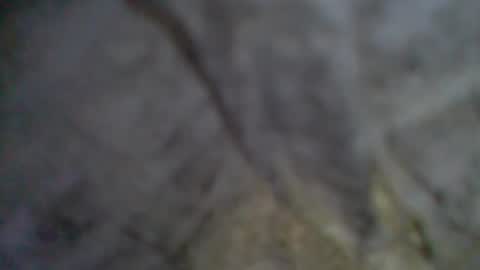 e-Bizl online show from September 11, 9:04 pm