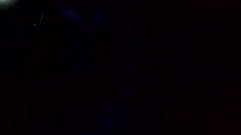 e-Bizl online show from October 18, 10:05 am