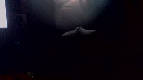 e-Bizl online show from October 19, 6:30 pm