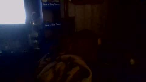 e-Bizl online show from November 2, 5:10 am