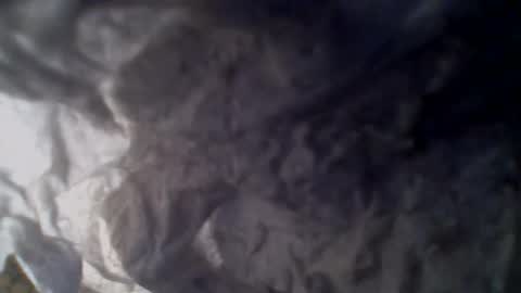 e-Bizl online show from November 22, 10:14 am