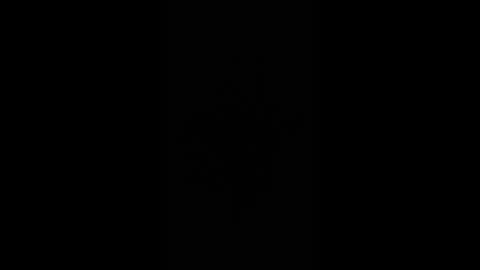 gjpj1 online show from February 26, 12:59 pm