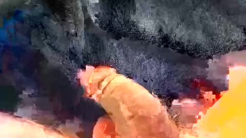 Snapshot of gman41000 chatting on December 30, 3:25 am Gman online show from December 30, 3:25 am