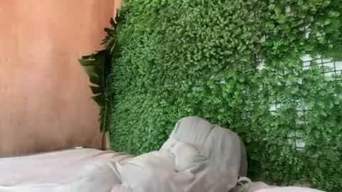 goddess_jennyxx online show from March 29, 11:32 am