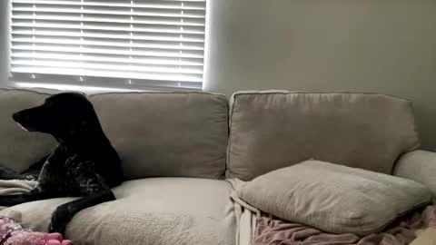 Snapshot of goddessmayvn chatting on May 4, 3:41 pm GoddessMayvn online show from May 4, 3:41 pm