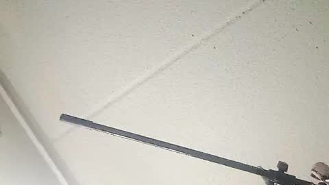 Taffy and Rmurda online show from March 19, 10:19 am