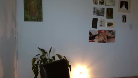 Snapshot of golden_alaska chatting on February 1, 12:15 pm Alaska online show from February 1, 12:15 pm