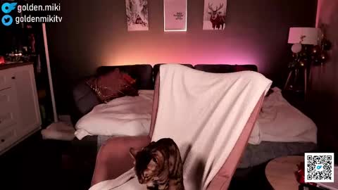 Shy in the streets but a freak in the sheets online show from February 2, 6:15 am