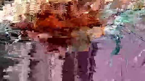 gonadalache online show from November 17, 3:56 am