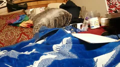 Snapshot of goodbootaye chatting on December 28, 3:59 pm Juicy Booty online show from December 28, 3:59 pm