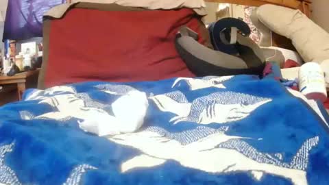 Snapshot of goodbootaye chatting on December 30, 3:24 pm Juicy Booty online show from December 30, 3:24 pm