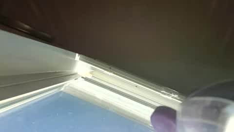 Snapshot of goosetrucker982440 chatting on September 30, 2:00 pm goosetrucker982440 online show from September 30, 2:00 pm