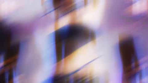        online show from November 2, 8:06 am