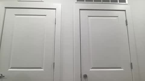 grace bailey online show from February 4, 3:01 am