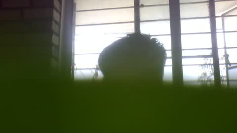 Snapshot of grey_stud chatting on February 24, 5:22 am Grey Stud online show from February 24, 5:22 am