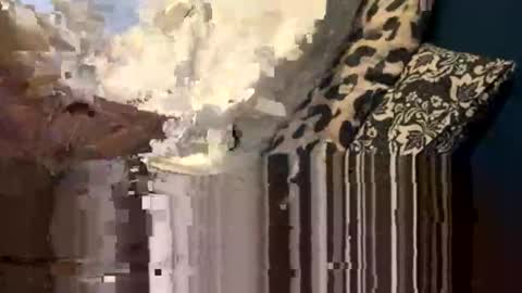 greymen2020 online show from February 16, 6:04 pm