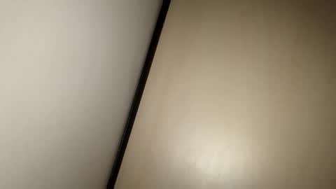 Snapshot of greyvan96 chatting on February 17, 10:18 am Perfectlyaveragesavage online show from February 17, 10:18 am