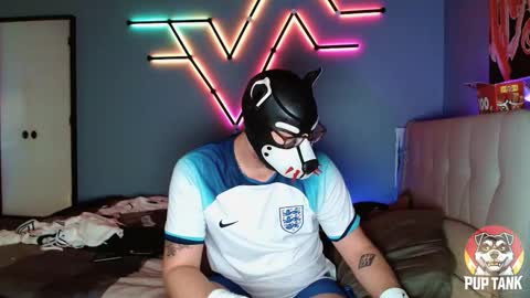 Alpha pup online show from November 1, 7:16 pm