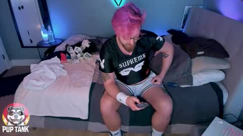 Alpha pup online show from November 11, 10:21 pm