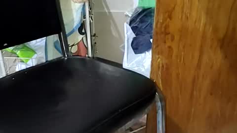 guillermo723 online show from April 9, 2:33 am