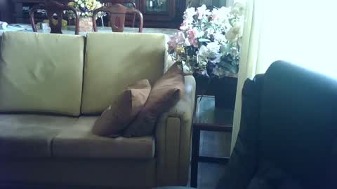Snapshot of gutobhz249564 chatting on March 4, 6:07 pm gutobhz249564 online show from March 4, 6:07 pm