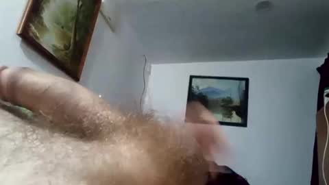 h_rd333 online show from March 24, 1:38 pm