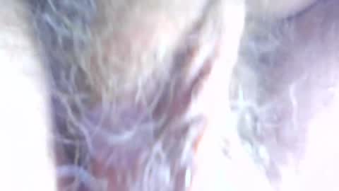 hagridthehorrible online show from April 7, 11:32 am