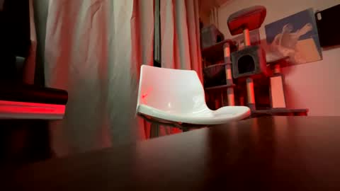 haildave6 online show from April 26, 12:41 am