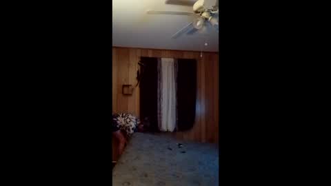 hailstorm32 online show from February 24, 11:19 am