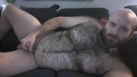 Hairiest Bear online show from December 21, 4:19 am