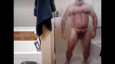 Snapshot of hairydaddreams chatting on November 13, 2:21 am hairydaddreams online show from November 13, 2:21 am