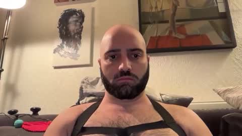 Snapshot of hairyleatherguy chatting on November 2, 9:28 pm Hairy Guy online show from November 2, 9:28 pm