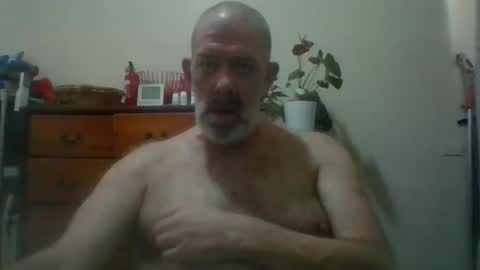 Snapshot of hairypigsyd chatting on November 14, 3:27 am HairyPigSyd online show from November 14, 3:27 am