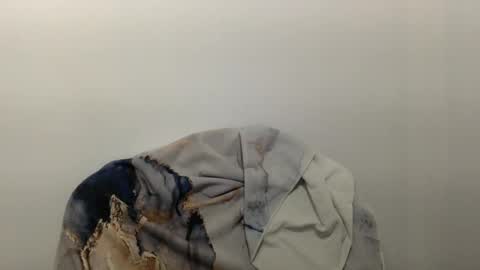 Snapshot of hairytonkas chatting on December 8, 9:52 pm HairyTonkas online show from December 8, 9:52 pm